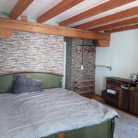 See- Und Altstadthaeusle - Alles Direkt Vor Der Haustuer - Bodenseeufer Natur Altstadt Bahnhof Bora-Sauna - Klein Und Super Zentral Zum See Oepnv Stadt Natur Etc - Appartement Historica Radolfzell am Bodensee Eksteriør billede