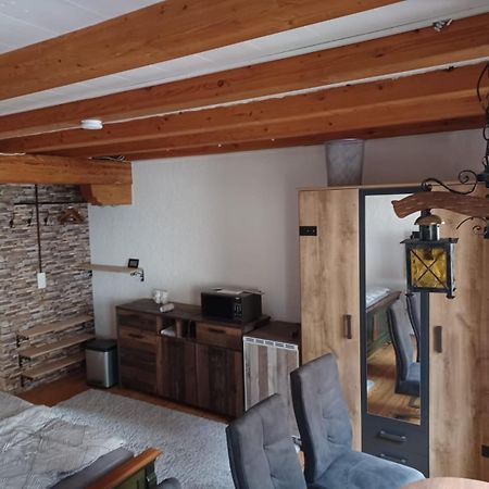 See- Und Altstadthaeusle - Alles Direkt Vor Der Haustuer - Bodenseeufer Natur Altstadt Bahnhof Bora-Sauna - Klein Und Super Zentral Zum See Oepnv Stadt Natur Etc - Appartement Historica Radolfzell am Bodensee Eksteriør billede