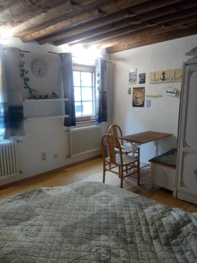 See- Und Altstadthaeusle - Alles Direkt Vor Der Haustuer - Bodenseeufer Natur Altstadt Bahnhof Bora-Sauna - Klein Und Super Zentral Zum See Oepnv Stadt Natur Etc - Appartement Historica Radolfzell am Bodensee Eksteriør billede