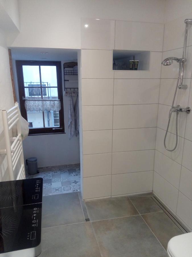 See- Und Altstadthaeusle - Alles Direkt Vor Der Haustuer - Bodenseeufer Natur Altstadt Bahnhof Bora-Sauna - Klein Und Super Zentral Zum See Oepnv Stadt Natur Etc - Appartement Historica Radolfzell am Bodensee Eksteriør billede