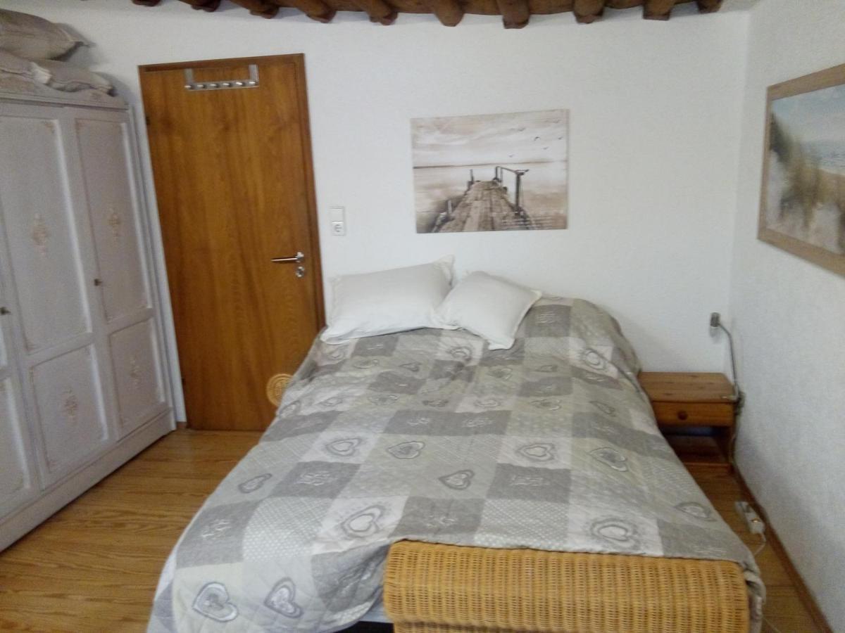 See- Und Altstadthaeusle - Alles Direkt Vor Der Haustuer - Bodenseeufer Natur Altstadt Bahnhof Bora-Sauna - Klein Und Super Zentral Zum See Oepnv Stadt Natur Etc - Appartement Historica Radolfzell am Bodensee Eksteriør billede