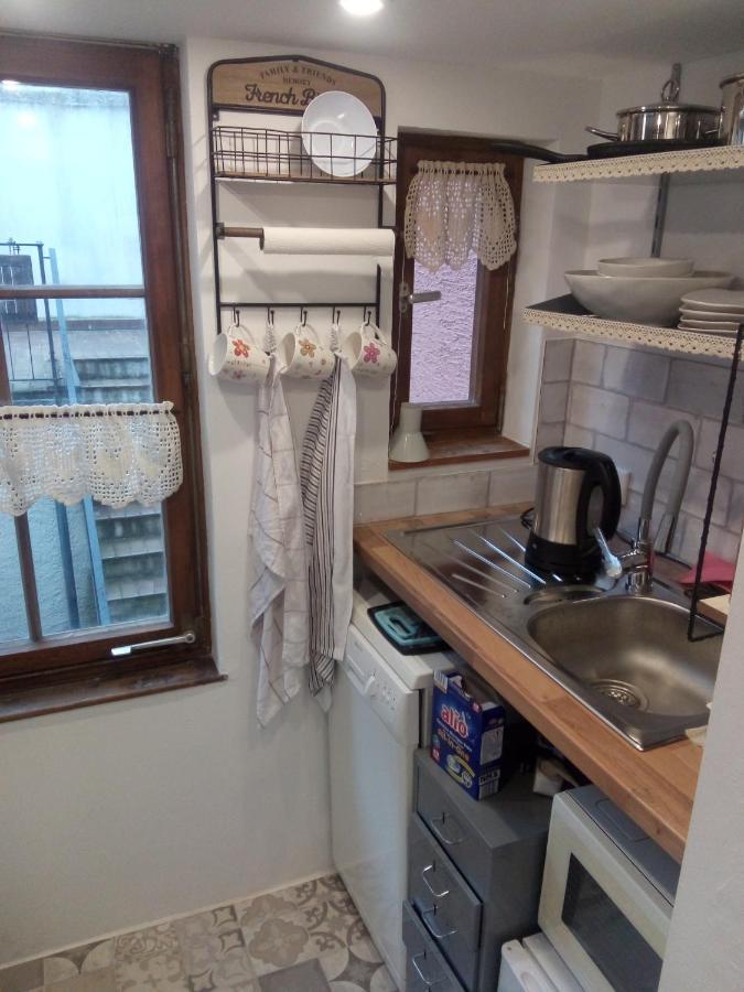 See- Und Altstadthaeusle - Alles Direkt Vor Der Haustuer - Bodenseeufer Natur Altstadt Bahnhof Bora-Sauna - Klein Und Super Zentral Zum See Oepnv Stadt Natur Etc - Appartement Historica Radolfzell am Bodensee Eksteriør billede
